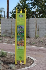 Gibson Mariposa Park Plant Palette