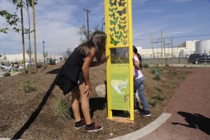 Butterfly Exhibit at Gibson Mariposa Park