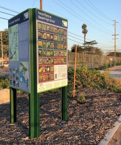 Native Plant Signage at Bassett High School