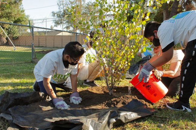 cropped-volunteer.jpg